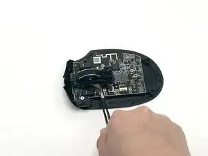 16xoR5luMEPnNVZ3
