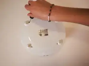 1PZMF1c3YLgCqvIB
