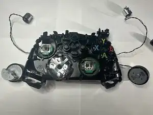 1PkVGdLgM5GaY6pu