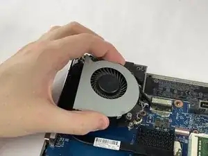Fan