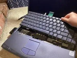 21BcUKfe5VxOdGeb