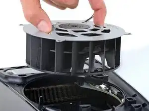 Fan