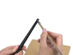 2EvUojbnocFjTOmg