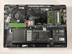 2SQIPNECMbkOS1Vm