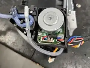 4VwBRZoTWdo2FZO1
