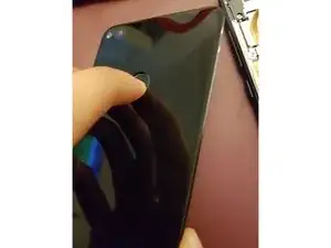 4fg6qlXuBQPbso5C