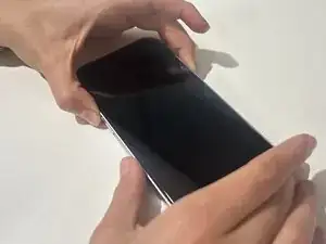 4x31MBorhIeWFZBa