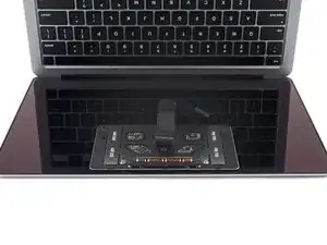 5DKGiXqovW63JLCg