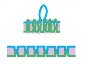 6OqvfTLrgpkpWNjP