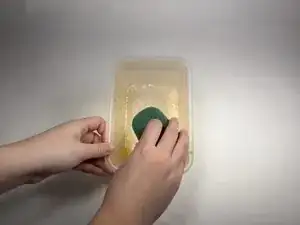 6Use1vkZrWXsWNo6
