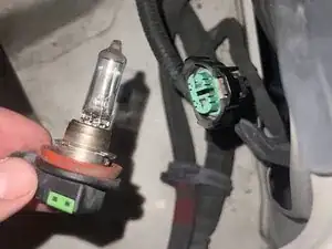 Headlight Bulb