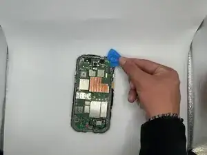 AAVPMGSYZpmuM1sj