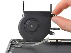 Fan