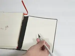 BEDLg1a4kKV4WlLm
