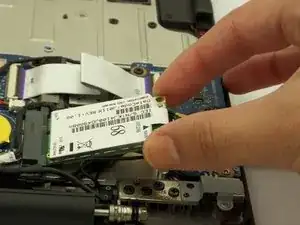 Network Card
