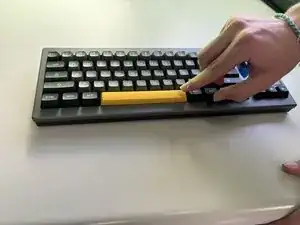 EDwsW4JOlq4HCj3c