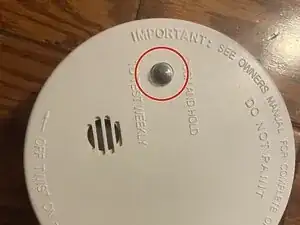 EaSS1RvJmgRfer3I