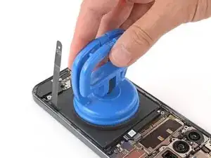 FYkR1Jwscco1pTi1
