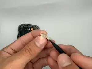 FbArWPaDTNxc5lEd