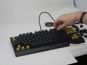 GCyMPeyQfsDcM4QX