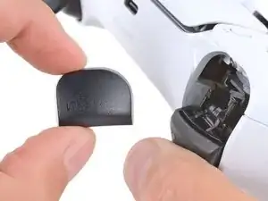 L1 and R1 Button