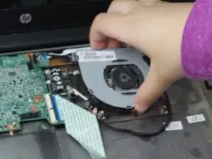 Fan
