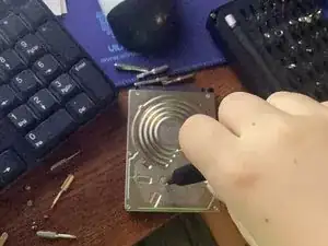 IAe2VxmuWYmPO6Cx