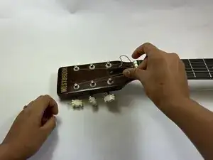 ING2e4xCgiLUOScD