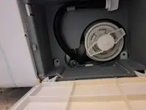 IoYJlGOopfeFo5nM