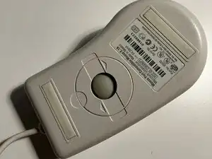 J4UgDCXZMmFLroRg