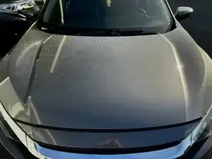 JUZn1SegXjFGVlUT