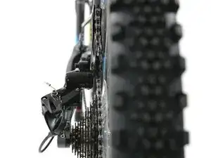 K2hFtDbbNSXuSf21