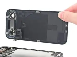 Back Glass