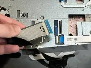 L2RbMFOSyfnCoMmk