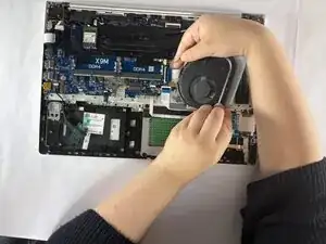 Fan