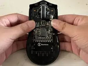 LbxESAMf6WT4lMqr