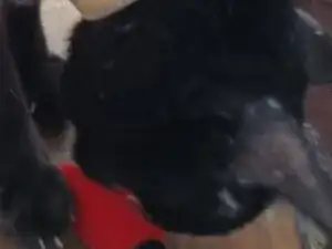 LoaRNIWnXCUvvuDI