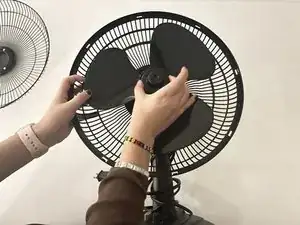 M2tKPt2oeJ2dcRqU