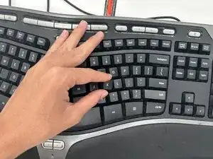 MFWjKO2xApFPGp3R