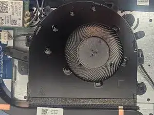 Fan