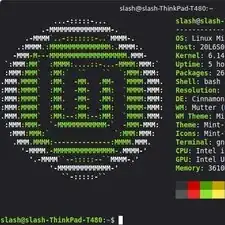 User