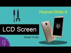 LCD Screen (video)