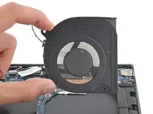 Fan