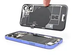 Back Glass