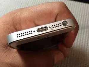 Display Assembly