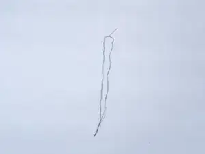 OjDODFcGWd32mjnb
