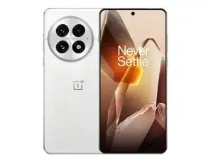 OnePlus 13