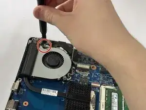 QQb5LDPZP2cwKkFu