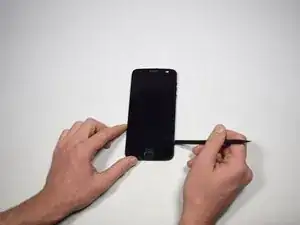 Display Assembly
