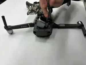 RHtOlOoivVStptFf